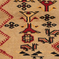 Vintage Ait Ouaouzguite (Taznakht) Tribal Rug