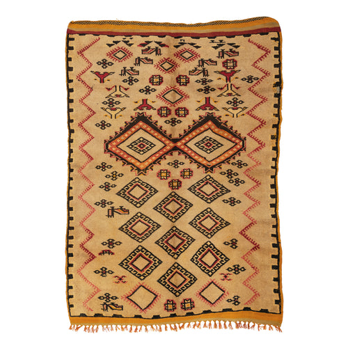 Vintage Ait Ouaouzguite (Taznakht) Tribal Rug