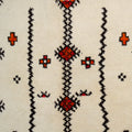 Ait Ouaouzguite (Taznakht) Tribal Rug